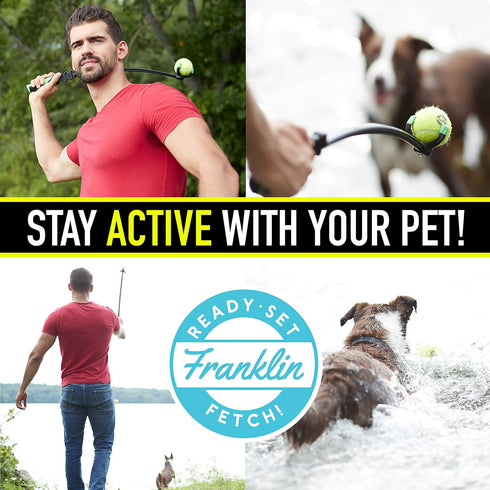 Set 3 Pack Franklin Pet Supply Co. Squeaky Dog Tennis Balls - Ready Fetch Dog Toy Tennis Balls with Squeaker - Perfect