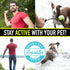 Set 3 Pack Franklin Pet Supply Co. Squeaky Dog Tennis Balls - Ready Fetch Dog Toy Tennis Balls with Squeaker - Perfect