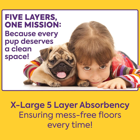 26"x24", 60 Count OUT! PetCare XL Training Pads, Leak-Proof Disposable Pee Pads for Dogs, Potty Training with Odor