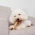 MON2SUN 40 CountPack 1 Dog Rawhide Rolls Twist Sticks Chew Treats Chicken Flavor for Puppy and Small Dogs