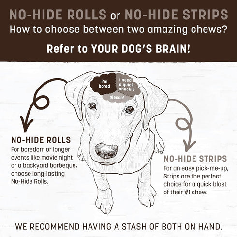 Earth Animal No Hide Medium Venison Flavored Dog Chews - Long Lasting Chew Sticks for Large Dogs
