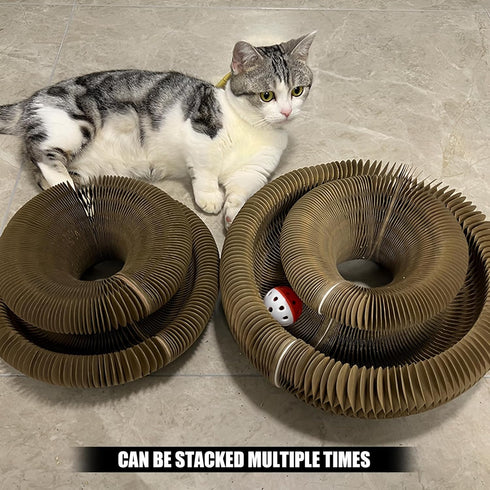 Magic Organ Cat Toy - 1PC Scratching Board with Bell, Foldable Magnetic Corrugated Paper Cat Accordion Toy for Cat
