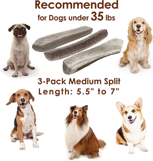 Elk Antler Chews for Dogs, 3-Pack Medium Split, Naturally Shed USA Collected Premium A-Grade