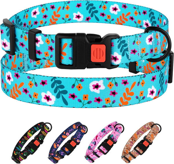 Nylon Dog Collar Floral Pattern Aquamarine, 12-16 Inch