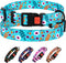 Nylon Dog Collar Floral Pattern Aquamarine, 12-16 Inch