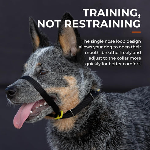 Canny Collar No-Pull Dog Collar, Gentle Head Collar for Dogs, Training Tool for Easier Walking, Black, Size 2