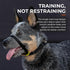 Canny Collar No-Pull Dog Collar - Gentle Head Collar for Dogs | Dog Training Tool (Red, Size 4)
