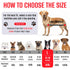 Hammock Trimming Hammock Spacing:13-16)/Max W:60lb) Dog Grooming for Dogs Dog Restraint for Nail with Pet Nail Clipper