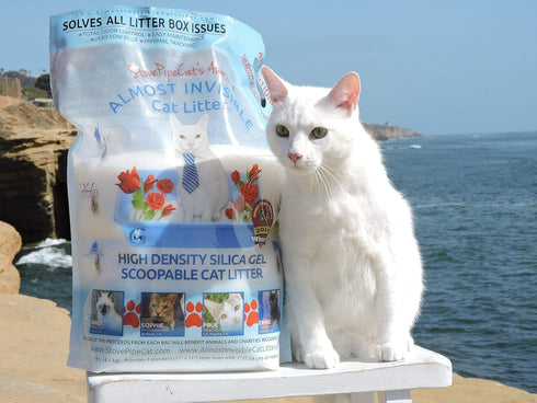 StovePipeCat's Awesome Almost Invisible Cat Litter, 9 Pounds