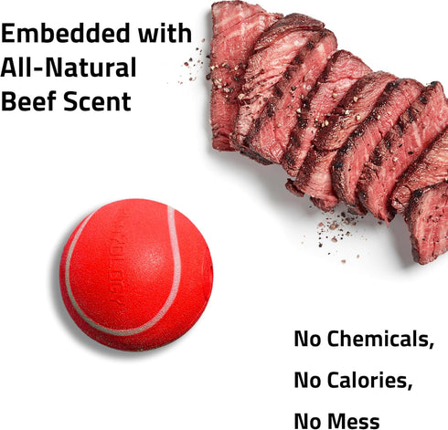 Playology Squeaky Dog Toy - Durable Rubber Interactive Fetch Ball for Large Dogs, Beef Scented Floating Dog Toy