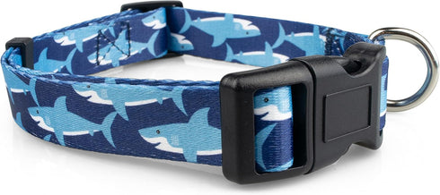 Limeloot Sharks Dog Collar, Summer Themed for Male and Female Dogs, Medium Size
