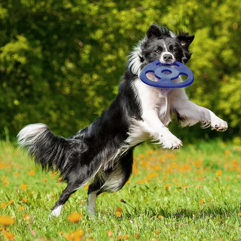 SuperChewy Tough Tug-of-War Flying Disc Toy - Lifetime Replacement, Strong Natural Rubber, Great Tug Disc Fetch Toy for