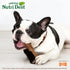 Nylabone Nutri Dent Dog Dental Chews - Medium (20 Count) - Natural Dog Teeth Cleaning & Breath Freshener Treats - Filet