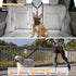 (1 Pack) BWOGUE Pet Dog Cat Seat Belt Reflective Car Dog Headrest Restraint Leash Elastic Buffer Bungee Adjustable