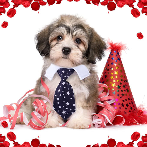 4 Pieces Adjustable Cat Dog Tie with Collar, Puppy Pets Formal Necktie Collars, Bow Ties for Cat Small Dogs Grooming