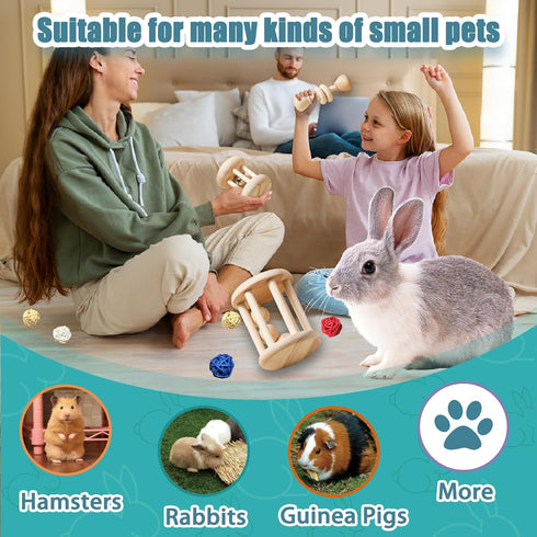 QWR 23 Chinchillas, PCS Natural Wooden Rabbit Toys,Safe Bunny Chew Toys for Teeth,Grass Timothy Sticks,Sweet