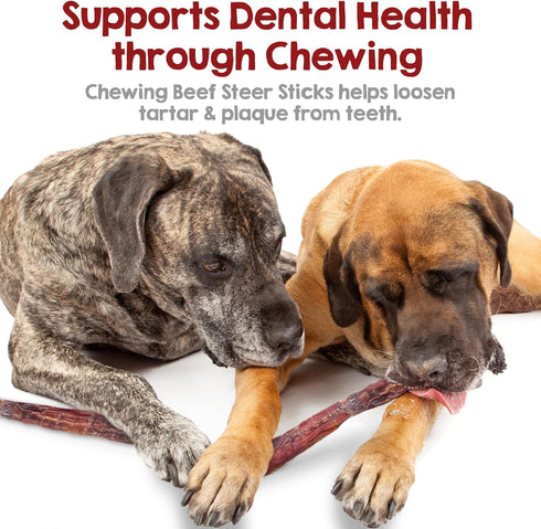 100% 12", 5ct Riley's Steer Bully Sticks for Large to XL Dog Breeds - Odor Free, Single Ingredient Treat - Easily