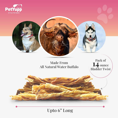 Pack 14oz Beef Bladder Sticks for Dogs - of | All Natural & Single Ingredient Water Buffalo Dog Treats for Puppies