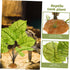 Didiseaon Goblincore Room Decor, Terrarium Landscape Plant Reptile Hiding Hut, Aquarium Fake Plant Ornament