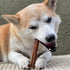 Pupford Thick Bully Sticks for Dogs & Puppies, Smoked, Natural, Long-Lasting, 6", 10 Count