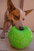 Jolly Pets 6 Inch Medium Soccer Ball, Floating Bouncing Dog Toy in Apple Green