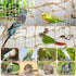 Tfwadmx Bird Climbing Rope Net, Large Size 24''X24'' Parrot Perch Climbing Rope Ladder for Budgies, Conure, Blue & Gold