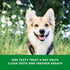 Wag Dental Dog Treats, Amazon Brand, Tiny, Unflavored, 2.25 pounds, 130 Count, Pack of 1 for Clean Teeth & Fresh Breath