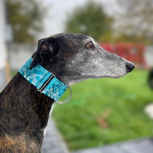 Martingale Dog Collar and Leash Set for Greyhound, Saluki, Whippet, 2" Wide, L 14”-18”