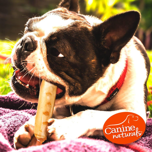 Canine Naturals Chicken Recipe Chew - Rawhide Free Dog Treats, All-Natural and Easily Digestible (Medium, 2 Count)