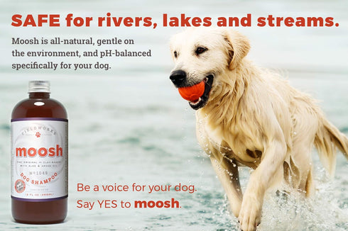 Moosh Natural Dog Shampoo, Promotes Healthy Hair, Coat, and Skin, Helps Hot Spots, Dry Itchy Skin, Pet Odor Eliminator