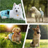 3Pack Dog Diapers Female,Washable Diaper for Doggie,Highly Absorbent Reusable Dog Diaper,Adjustable Leakproof Puppy
