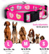 Native Pup Valentine’s Dog Collar, Adjustable for Small, Medium, Large Breeds, Candy Hearts, Small