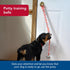 1" 31" Coastal Pet - Advance - Dog Potty Training Bells, Black, x