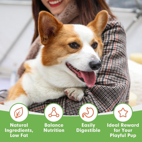MON2SUN 4 Inch 20oz (56 Count-Pack 1) Rawhide Free Dog Treats, Chicken Wrapped Cod Fillet Dog Snacks for Small Dogs