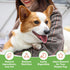 MON2SUN 4 Inch 10.58oz (30 Count-Pack 1) Rawhide Free Dog Treats, Chicken Wrapped Cod Fillet Dog Snacks for Small Dogs