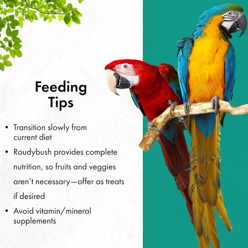 3 (5lb) Roudybush Formula Baby Bird Food - Hand feeding Baby Bird Formula for Newborn Psittacines & Squabs