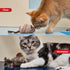 Gigwi Chirping Bird Cat Toy Set - Interactive Motion Activated Toy for Indoor Cats