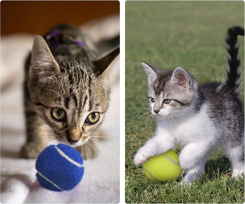 1.5" Small Tennis Balls for Dogs, Cat Toy, Pack of 12 Mini Tennis Balls in 3 Colors for Small Dogs