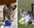 1.5" Small Tennis Balls for Dogs, Cat Toy, Pack of 12 Mini Tennis Balls in 3 Colors for Small Dogs