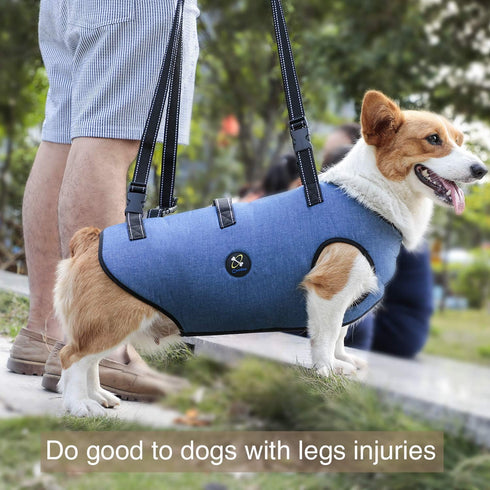 Coodeo Dog Lift Harness - Pet Support & Rehabilitation Sling Lift for Old, Disabled Dogs (Blue, S)