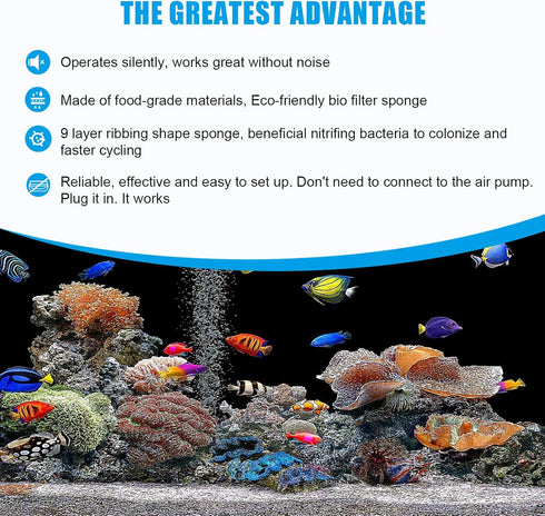 2 1 AQQA Aquarium Sponge Filter, Power Driven Double Biochemical Water Filter, Quiet Submersible Foam Filter with Extra