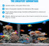 2 1 AQQA Aquarium Sponge Water Filter, Power Driven Double Biochemical Filter, Quiet Submersible Foam Filter with Extra