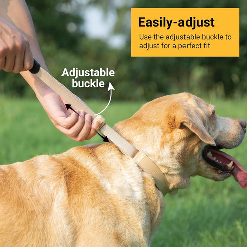 SVD.PET Dog Prong Collar for No-Pull Training, Adjustable Pinch Collar with Quick-Release Buckle for Medium Dogs (Tan,
