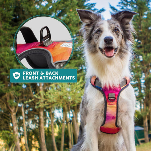 Embark Urban Dog Harness - No-Pull Reflective Trim for Small, Medium & Large Dogs, Heavy Duty Oxford, 2 Leash Clips &