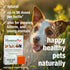 HomeoPet Skin and Itch Relief for Dogs and Cats, Natural Coat Soother, 15 Milliliters