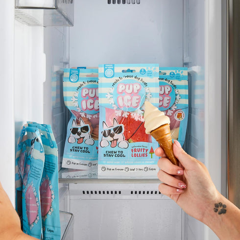 SPOT Pup Ice, Ready to Freeze at Home Dog Treats, Edible Chews for Medium Breed Dogs, 2pcs