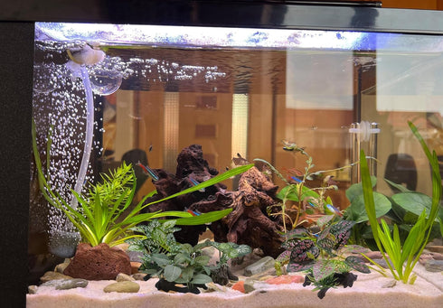 Artificial Fish Tank Plants, Silk Aquarium Plastic Plant Aquatic Water Grass Foreground Decor (2PCS)