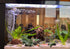 Artificial Fish Tank Plants, Silk Aquarium Plastic Plant Aquatic Water Grass Foreground Decor (2PCS)