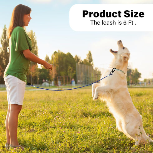 4/5/6 FT Chew Proof Dog Leashes, Comfortable Handle Steel Cable Lead for Large or Medium Dogs (6FT, Blue)