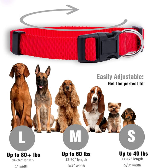 Native Pup Basic Nylon Dog Collar - Adjustable for Small, Medium, Large Pets, Cute Colors for Male, Female (Large, Red)